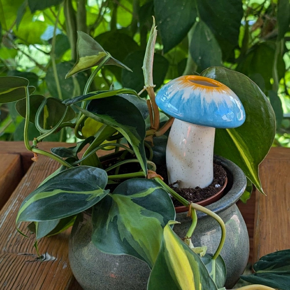 Plow & Hearth Medium Mushroom Watering Spike