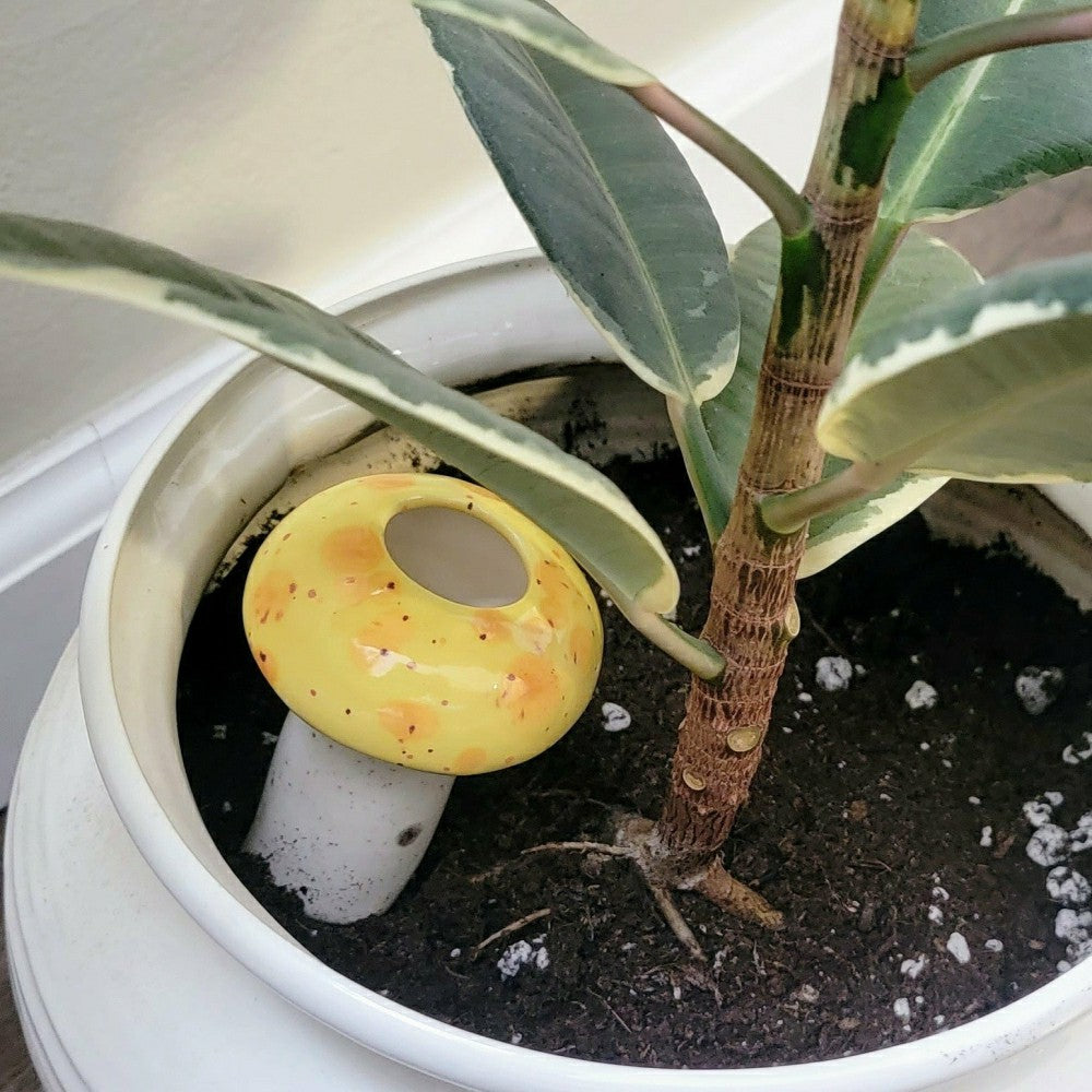 Plow & Hearth Medium Mushroom Watering Spike
