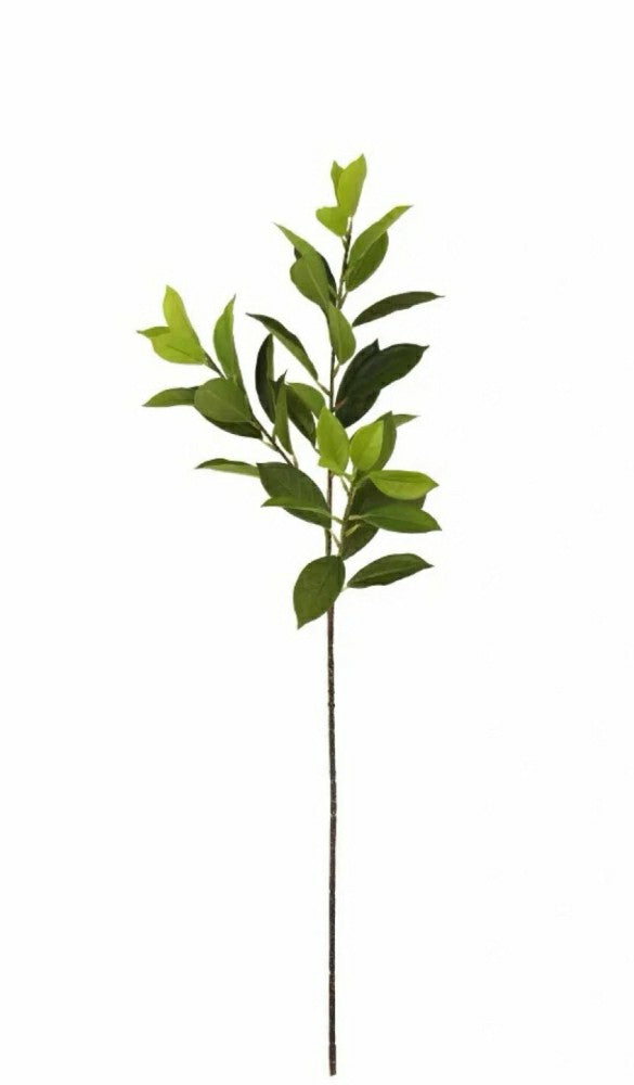 Plow & Hearth Artificial Bay Leaf Stems - Bundle of 4