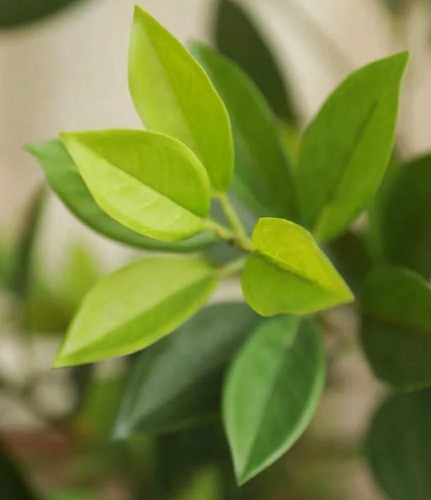 Plow & Hearth Artificial Bay Leaf Stems - Bundle of 4
