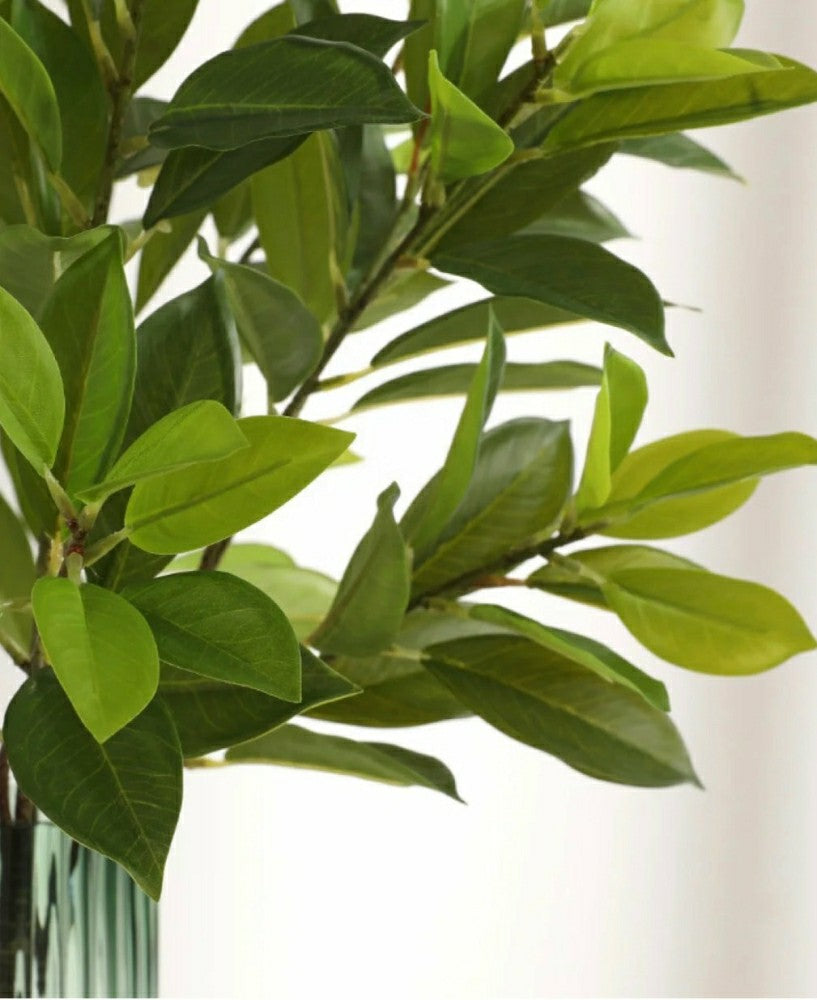 Plow & Hearth Artificial Bay Leaf Stems - Bundle of 4