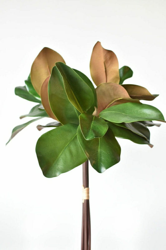 Plow & Hearth 18" Faux Magnolia Leaf Bundle