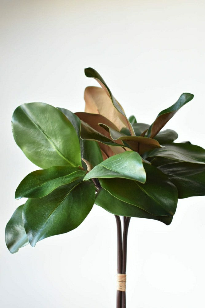 Plow & Hearth 18" Faux Magnolia Leaf Bundle