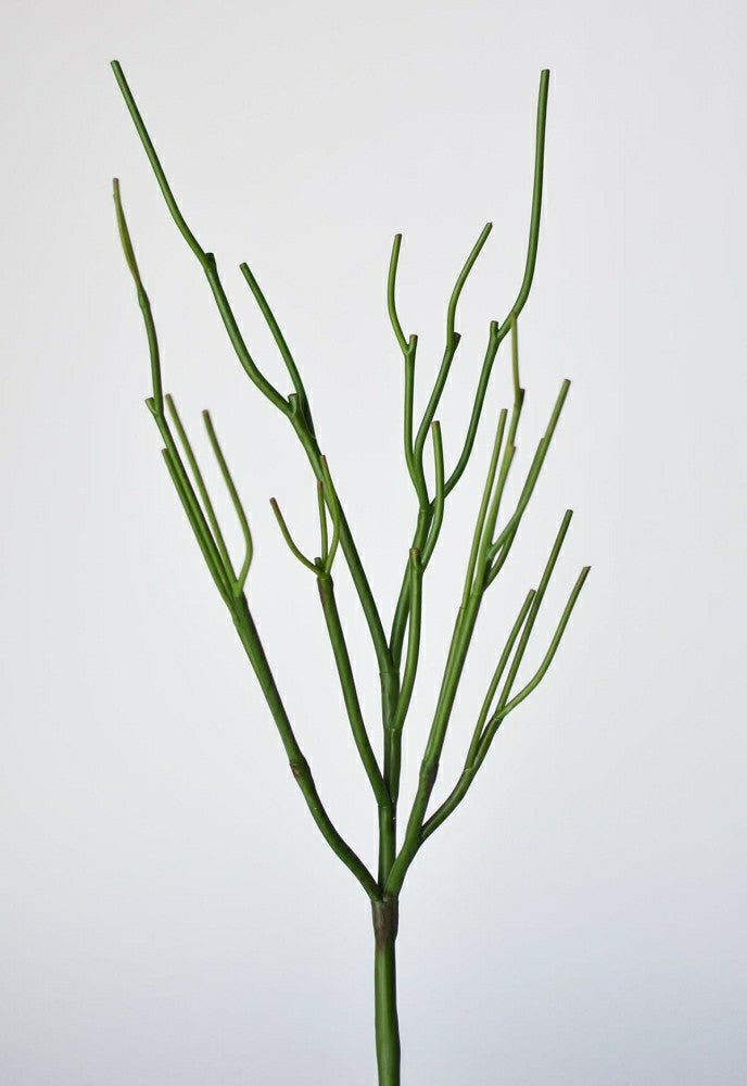 Plow & Hearth 23" Faux Green Pencil Cactus Succulent Stem