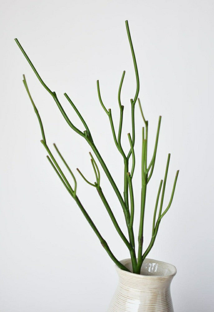 Plow & Hearth 23" Faux Green Pencil Cactus Succulent Stem