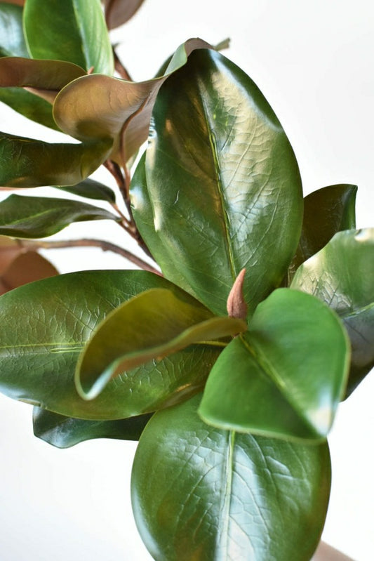 Plow & Hearth 40" Faux Magnolia Leaf Branch
