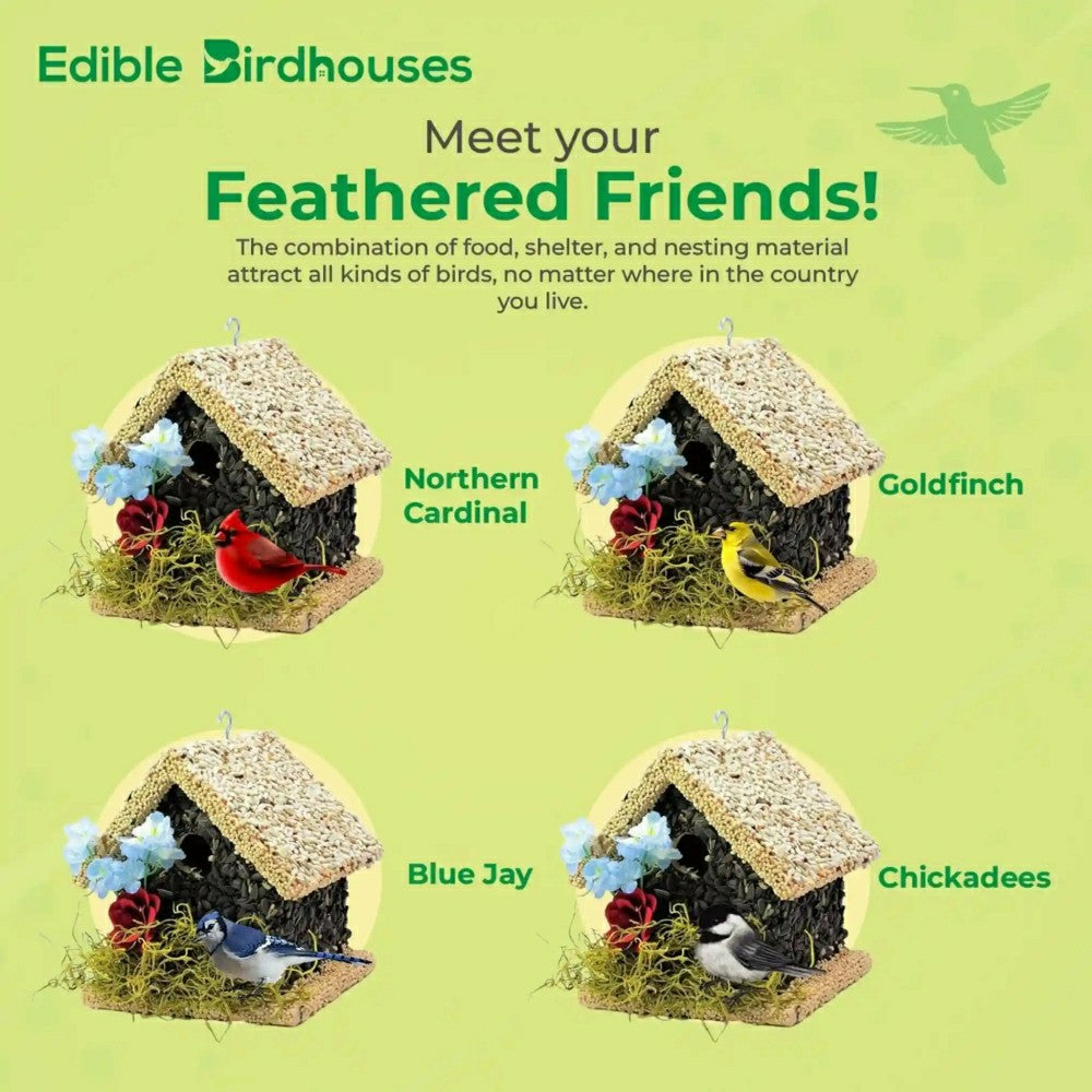 Plow & Hearth SHort Handmade Edible Birdhouse with Light Roof