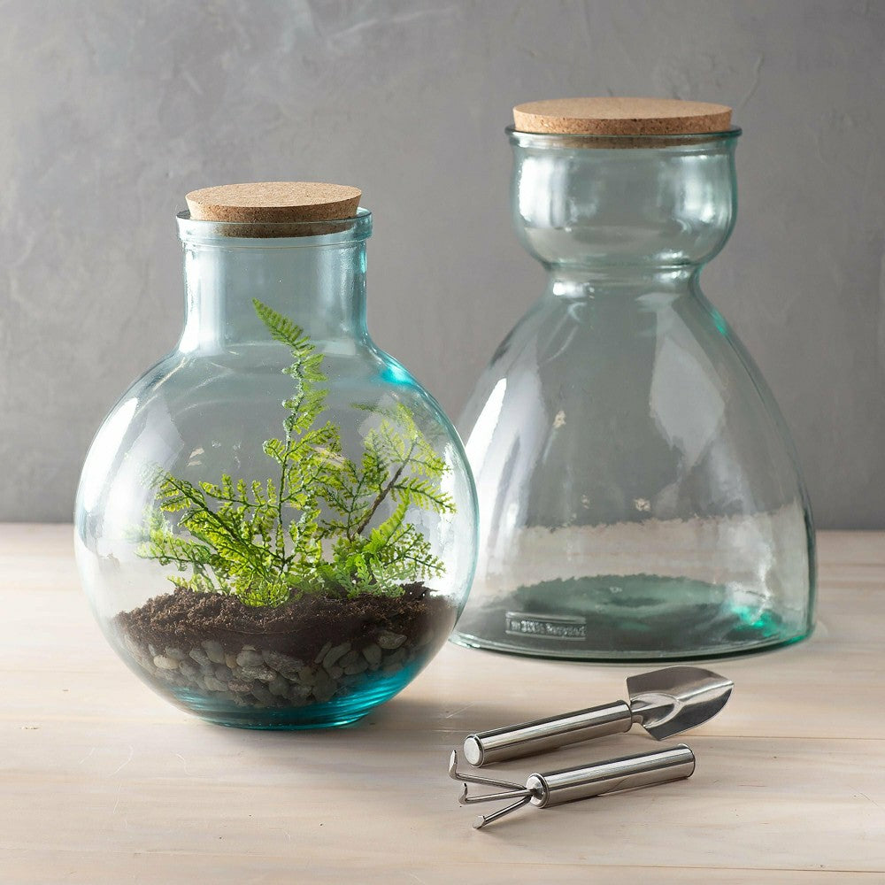 Plow & Hearth Tall Glass Terrarium