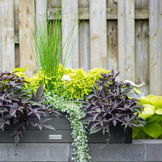 Plow & Hearth Horizon Charcoal Window Box