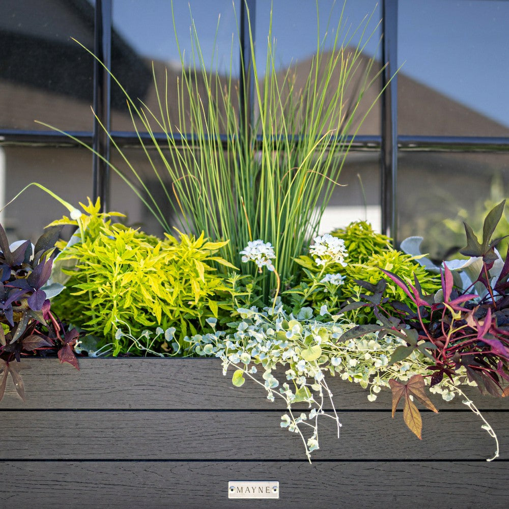 Plow & Hearth Horizon Charcoal Window Box