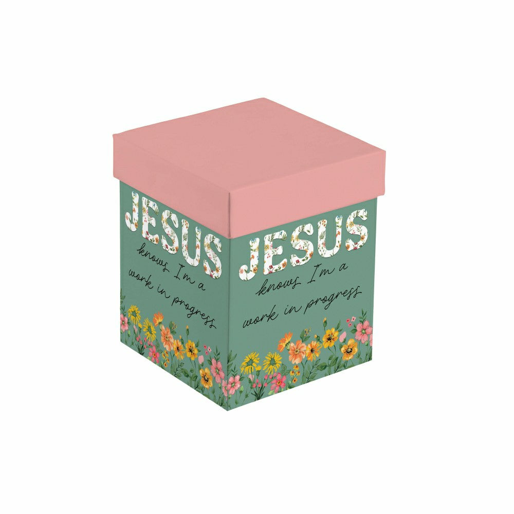 Plow & Hearth Simple Blessings Wine Glass Stemless, Jesus Knows I'm a Work in Progre