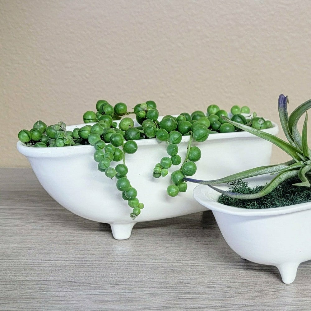 Plow & Hearth Medium Ceramic Bathtub Planter