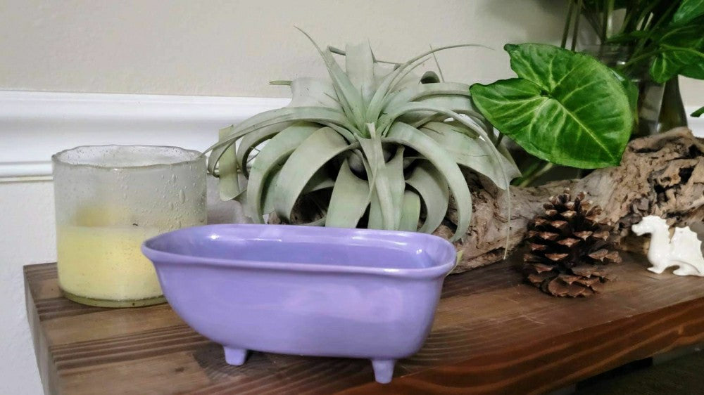Plow & Hearth Medium Ceramic Bathtub Planter