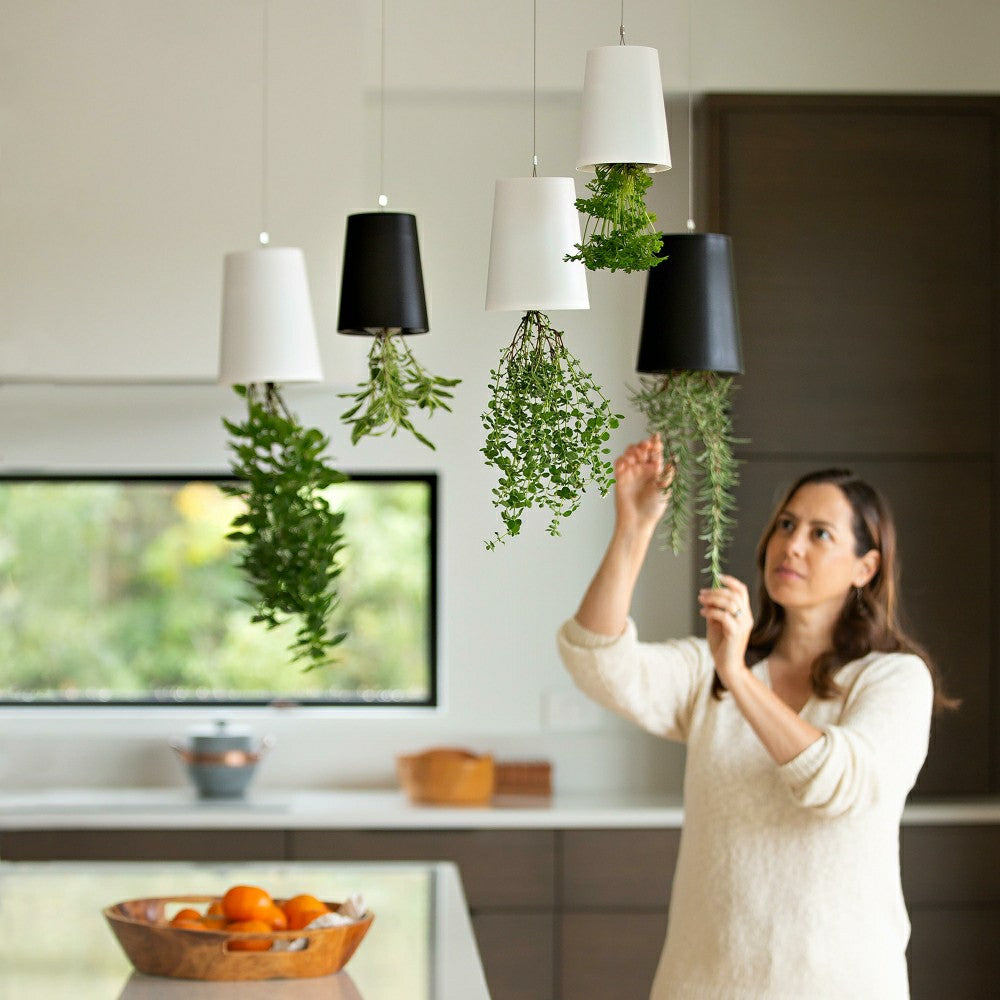 Plow & Hearth Small Sky Planter