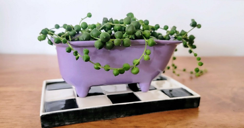 Plow & Hearth Small Bathtub Planter