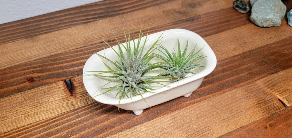 Plow & Hearth Small Bathtub Planter