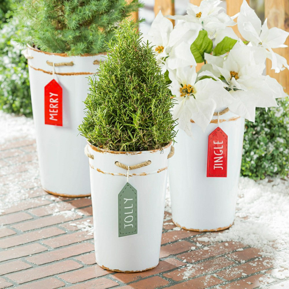 Plow & Hearth Holly Homestead Planter, French Bucket with Holiday Tag, Set of 3