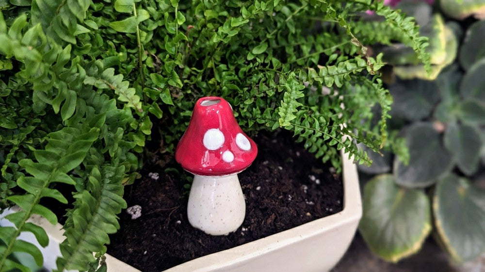 Plow & Hearth Small Toadstool Watering Spike