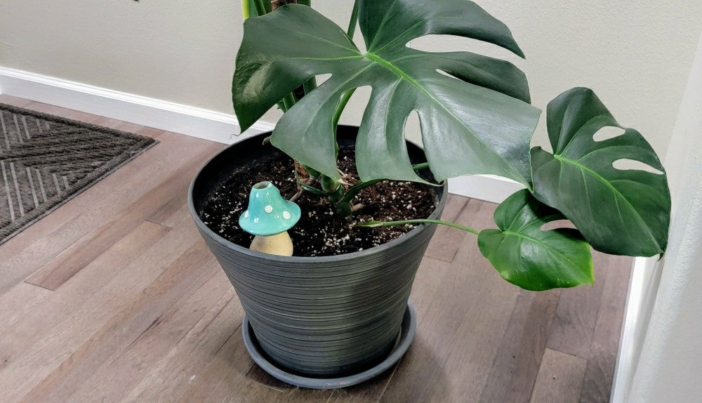Plow & Hearth X-Large Toadstool Watering Spike