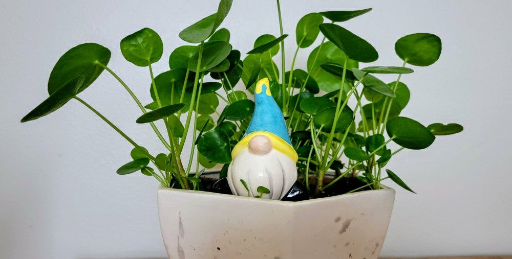 Plow & Hearth Short Gnome Watering Spike