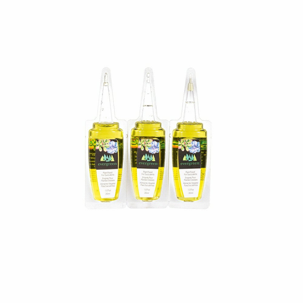 Plow & Hearth Glass Watering Set, including One Mister, One Watering Globe and 6 Pla