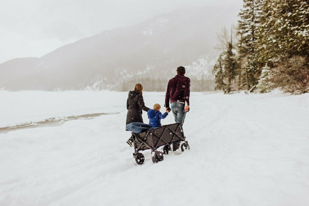 Plow & Hearth Adventure Wagon All-Terrain Portable Utility Wagon