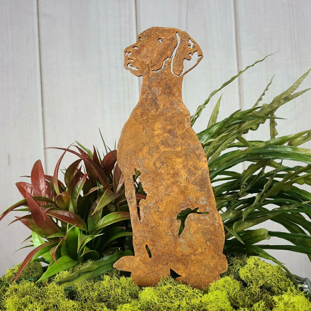 Plow & Hearth Rhodesian Ridgeback Garden Stake
