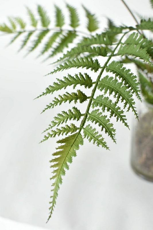 Plow & Hearth 25" Faux Forest Fern in Glass Vase