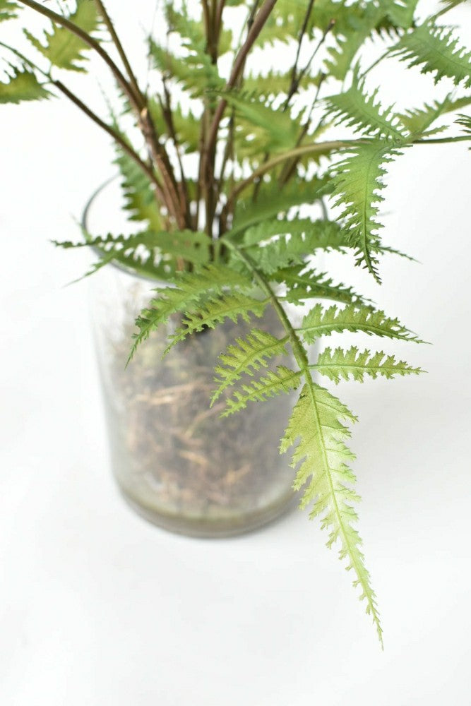 Plow & Hearth 25" Faux Forest Fern in Glass Vase