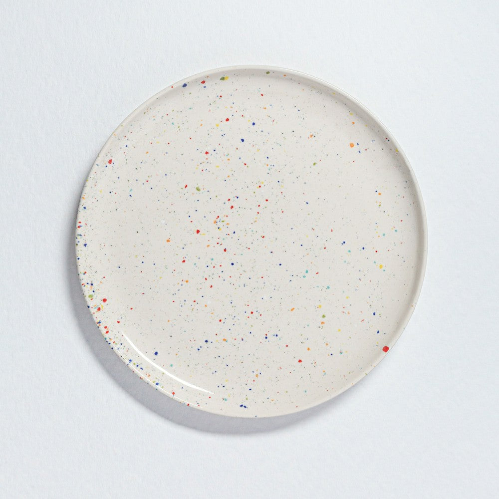 Plow & Hearth White Stoneware Ceramic Dinner Plates 11", Set of 6