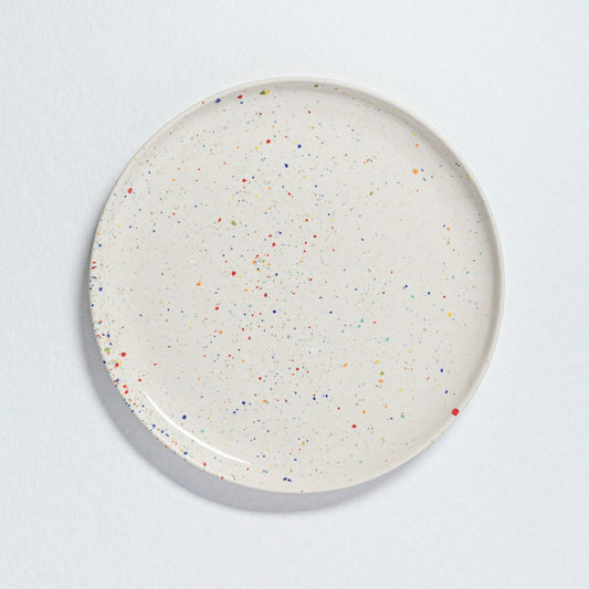 Plow & Hearth White Stoneware Ceramic Dinner Plates 11", Set of 6
