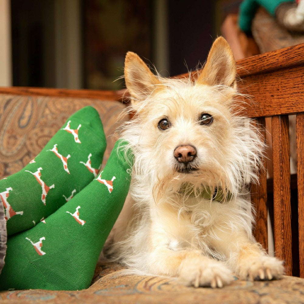 Plow & Hearth Save Dogs Gift Box