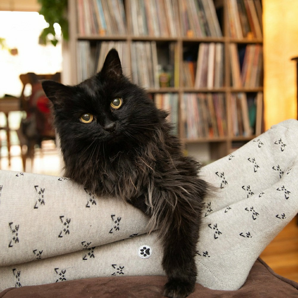 Plow & Hearth Save Cats Gift Box