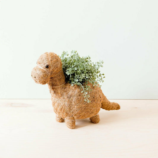 Plow & Hearth Brontosaurus Planter - Coco Coir Pots