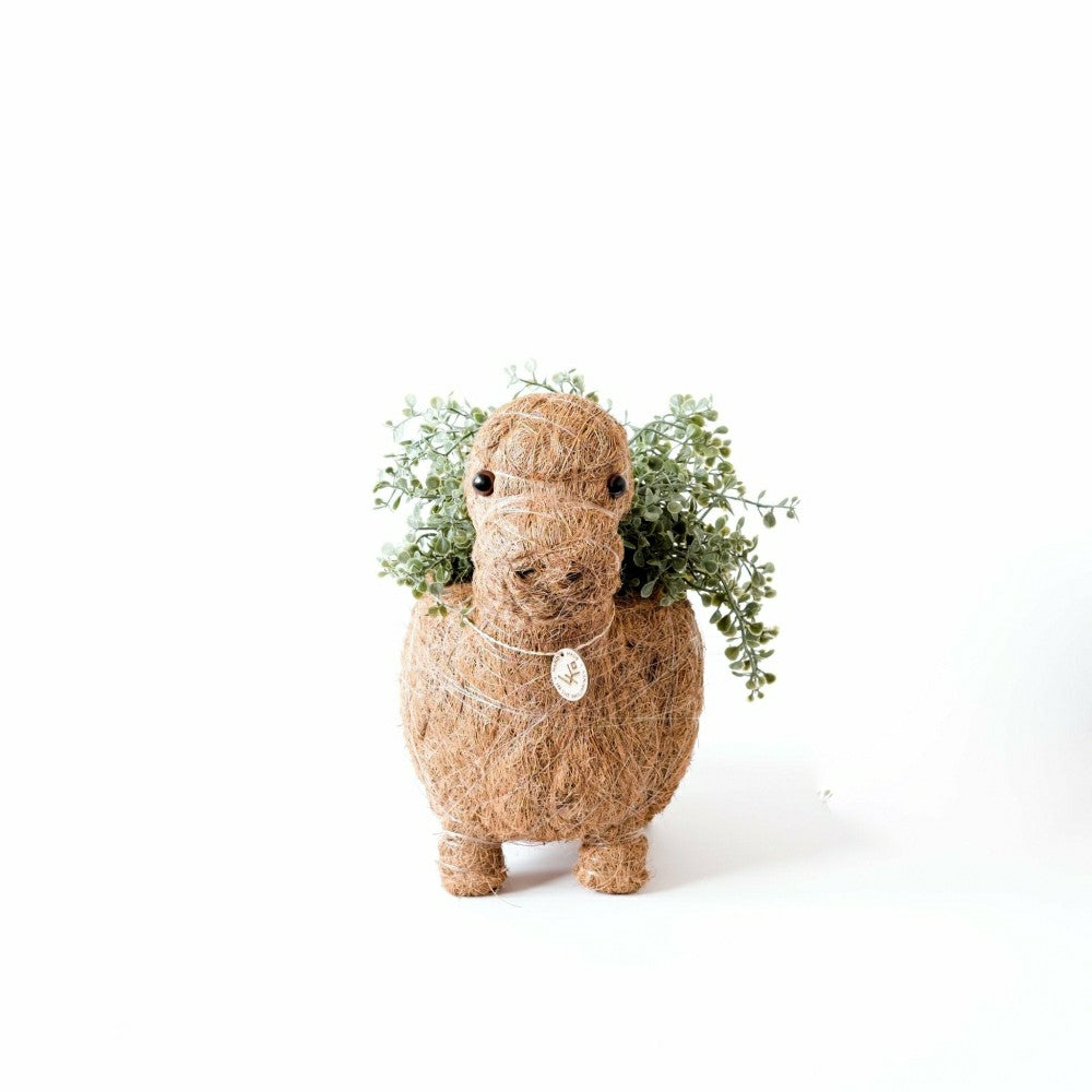 Plow & Hearth Brontosaurus Planter - Coco Coir Pots
