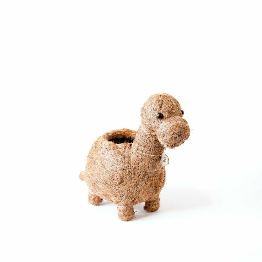 Plow & Hearth Brontosaurus Planter - Coco Coir Pots