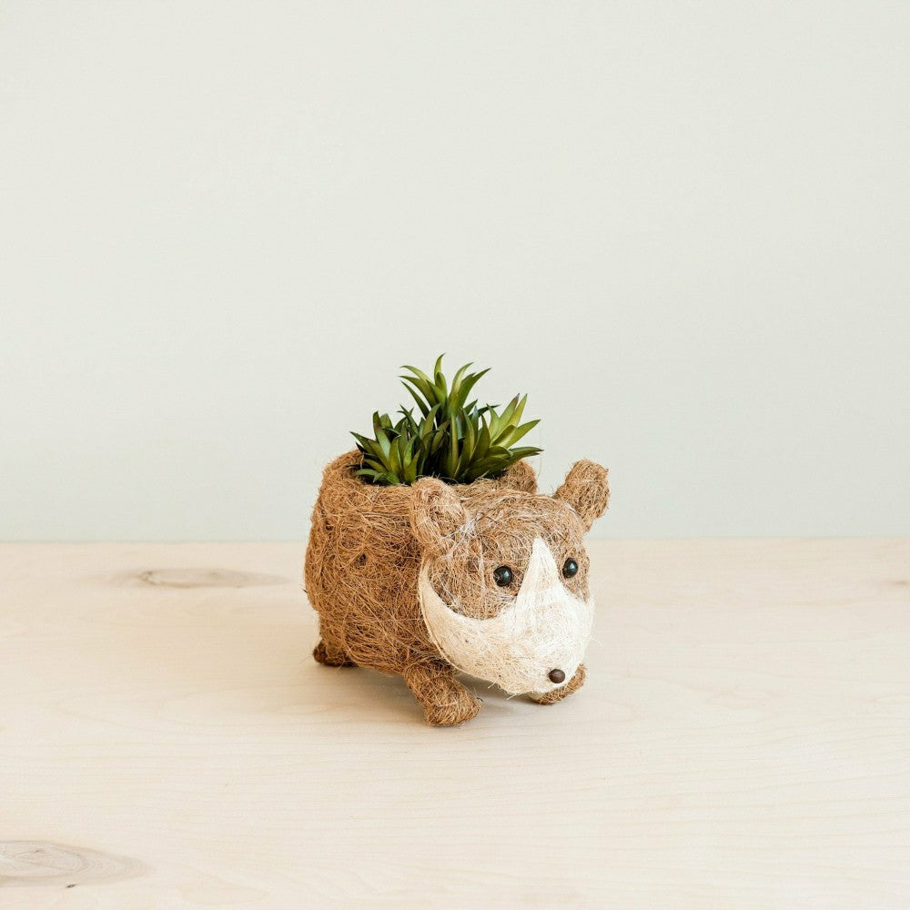 Plow & Hearth Baby Corgi Succulent Pot - Handmade Planters