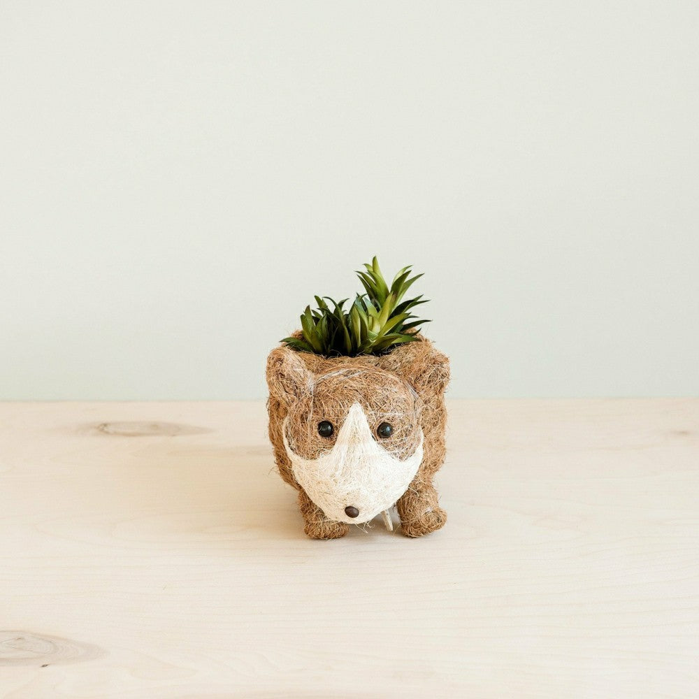 Plow & Hearth Baby Corgi Succulent Pot - Handmade Planters