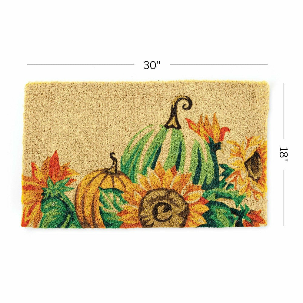 Plow & Hearth Harvest Pumpkin Coir Mat