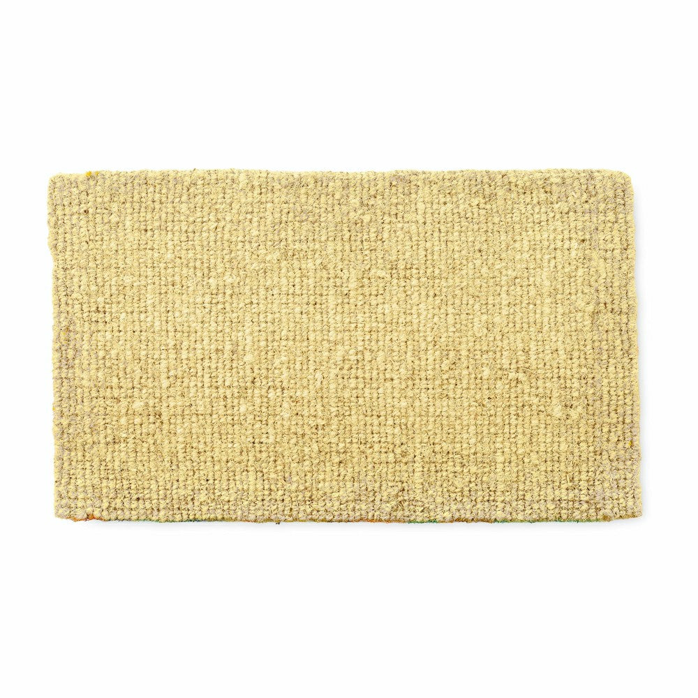 Plow & Hearth Harvest Pumpkin Coir Mat