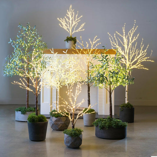 Plow & Hearth 7' Lit Faux Olive Tree, White
