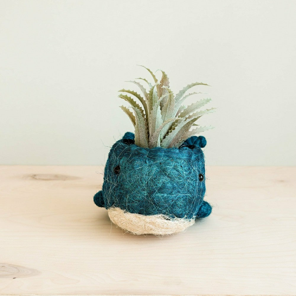 Plow & Hearth Wicker Whale Planter - Coco Planter