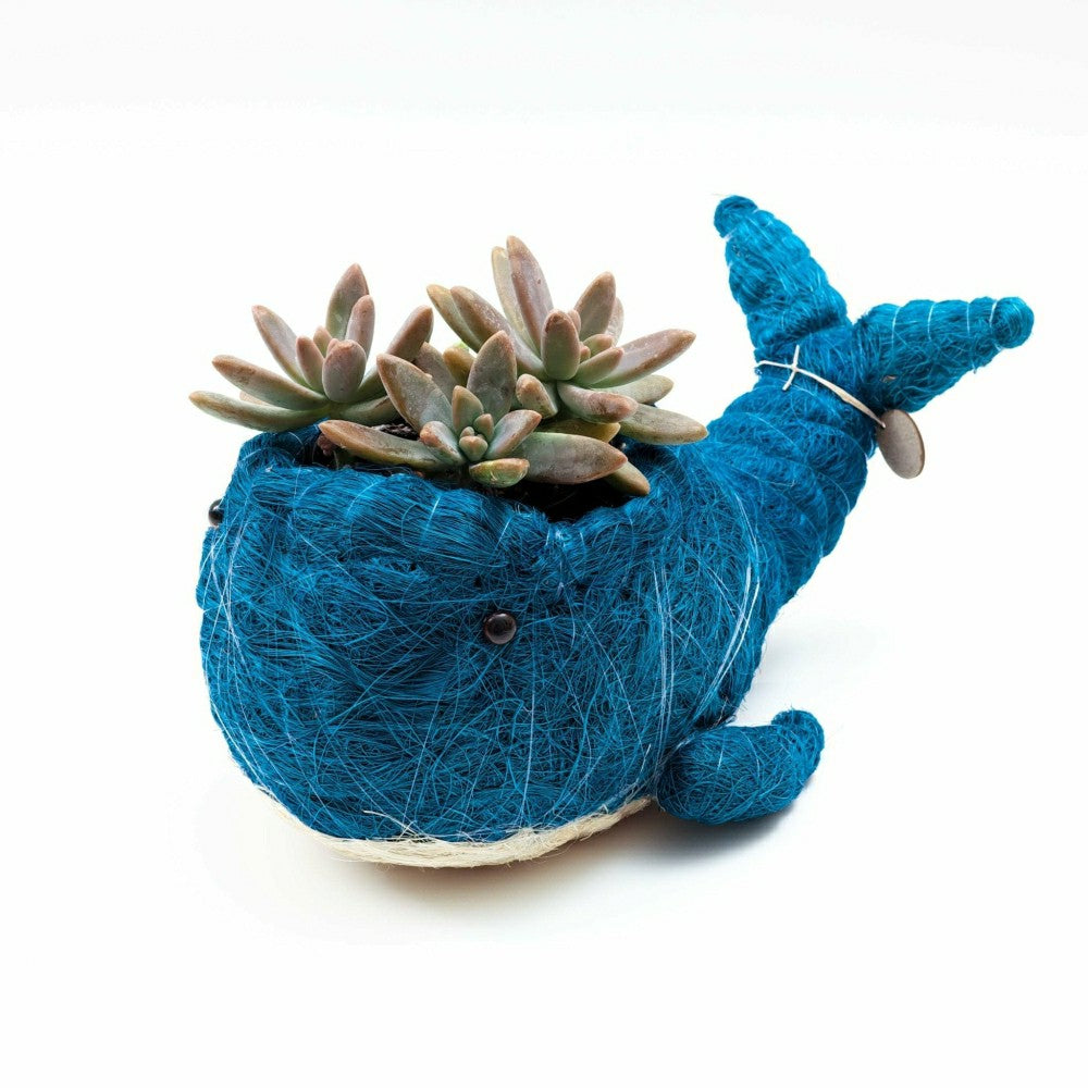 Plow & Hearth Wicker Whale Planter - Coco Planter