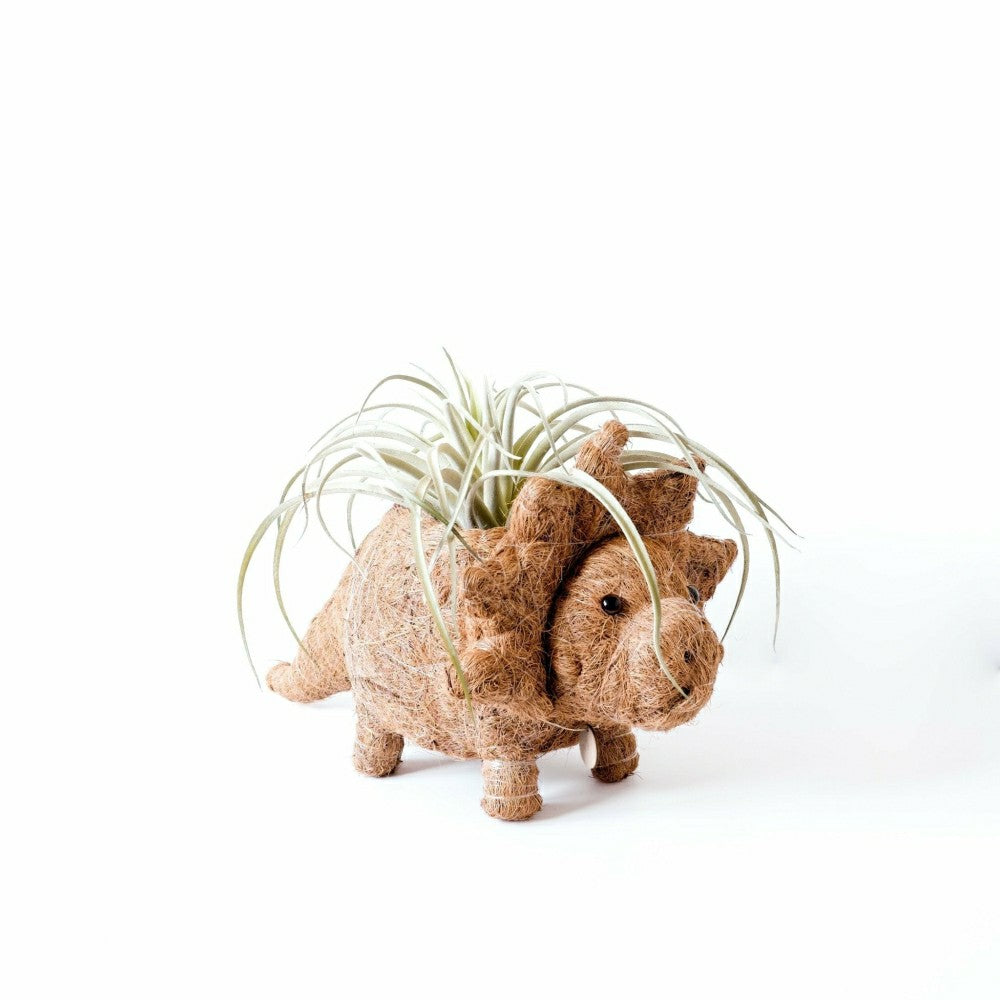 Plow & Hearth Triceratops Planter - Coco Coir Pots
