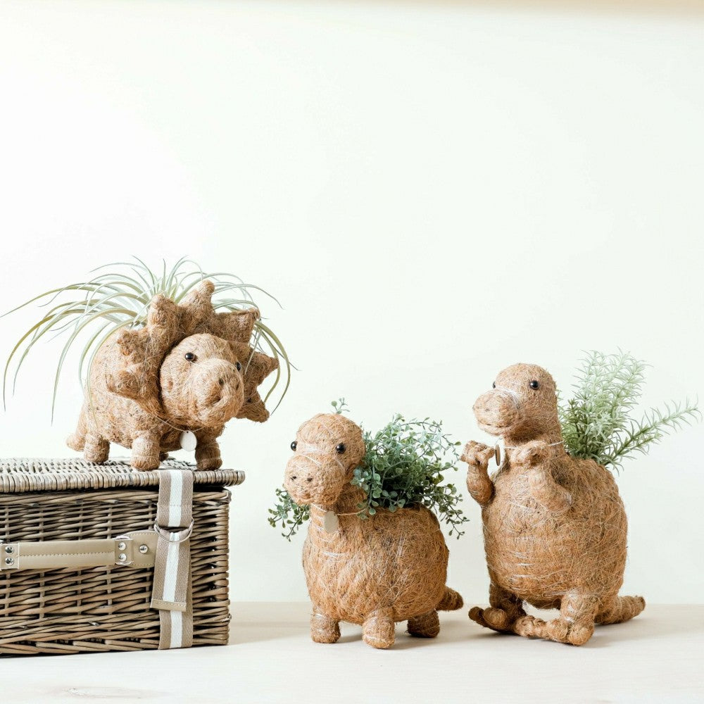Plow & Hearth Triceratops Planter - Coco Coir Pots