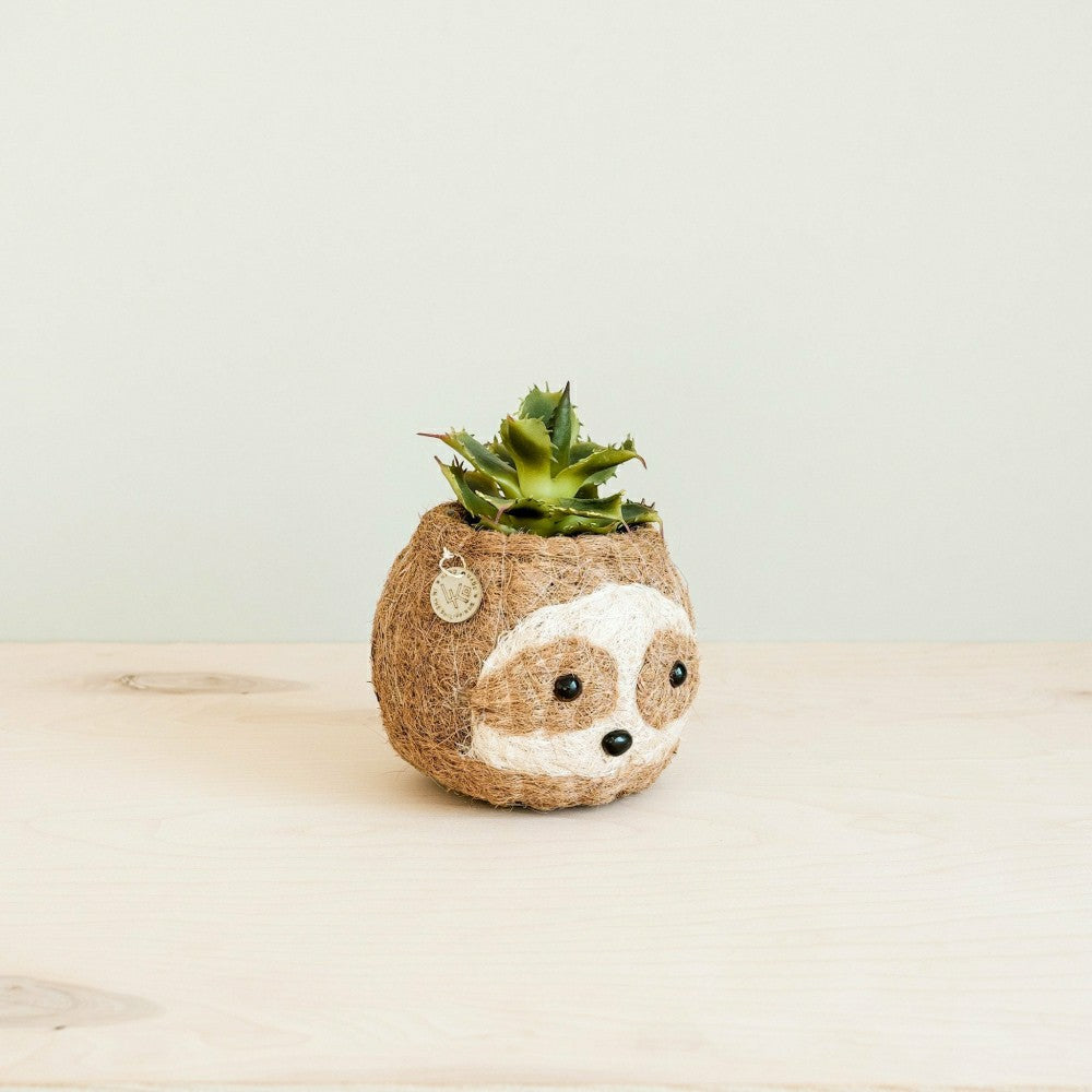 Plow & Hearth Two-tone Sloth Coco Coir Planter