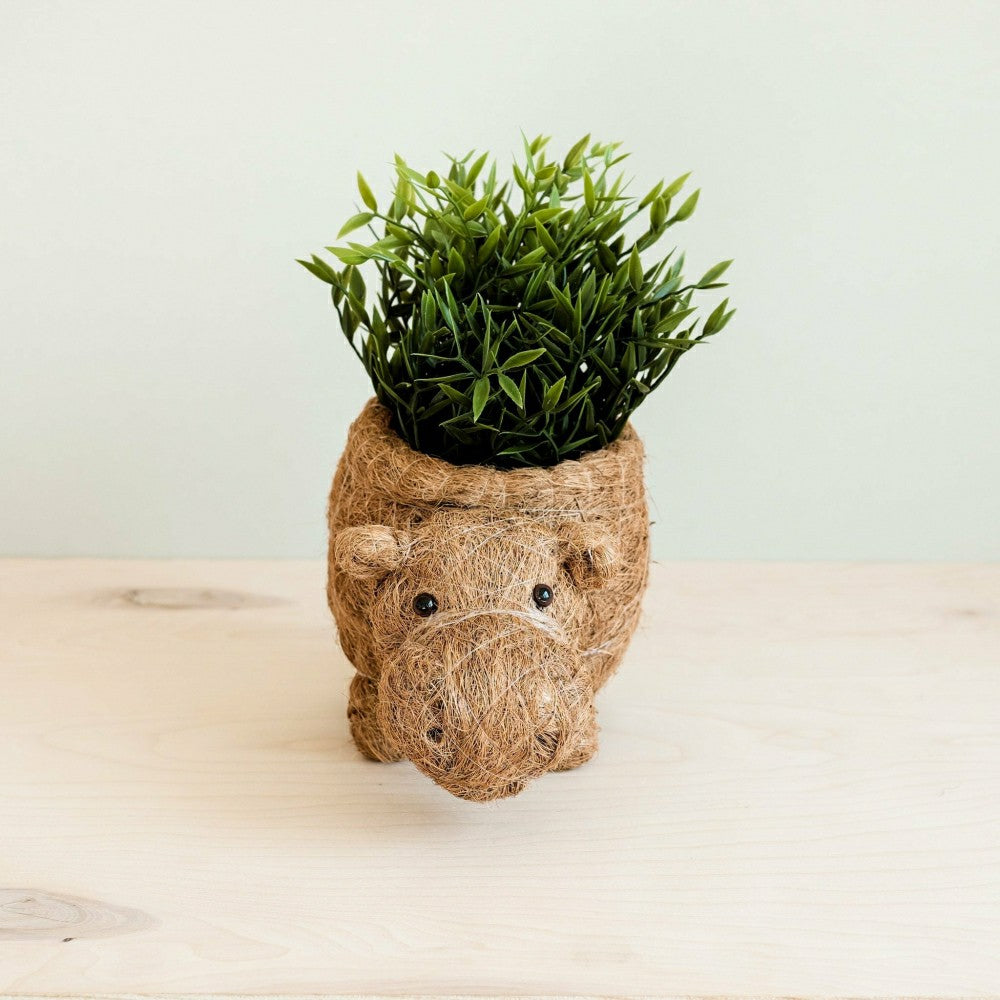 Plow & Hearth Hippo Planter - Coco Planter