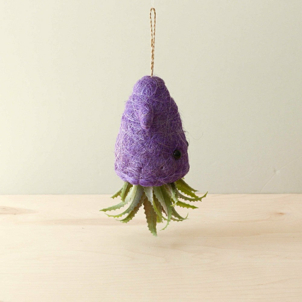Plow & Hearth Squid Hanging Planter for Air Plants - Handmade Plant Pot
