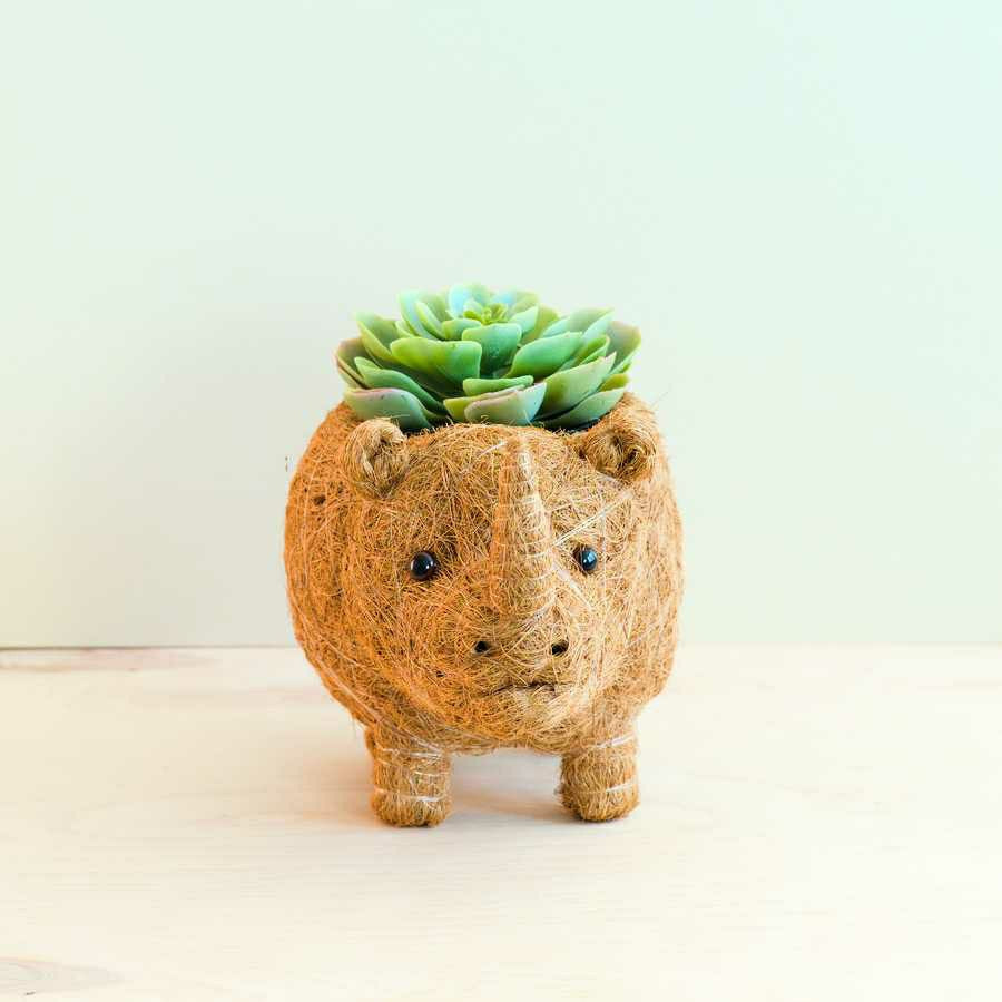 Plow & Hearth Rhino Planter - Coco Coir Pot