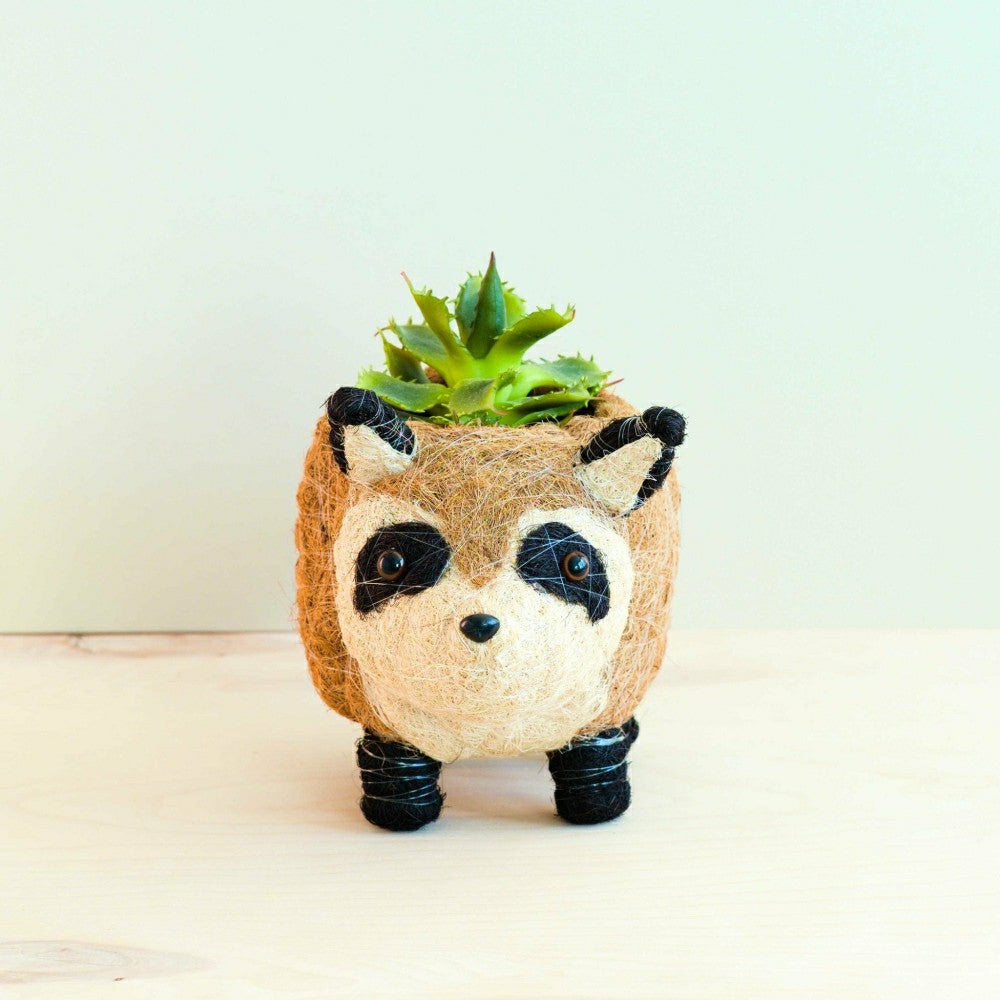 Plow & Hearth Raccoon Planter - Handmade Plant Pot